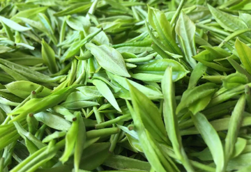 綠茶有哪些品種？鐵觀音是綠茶嗎？